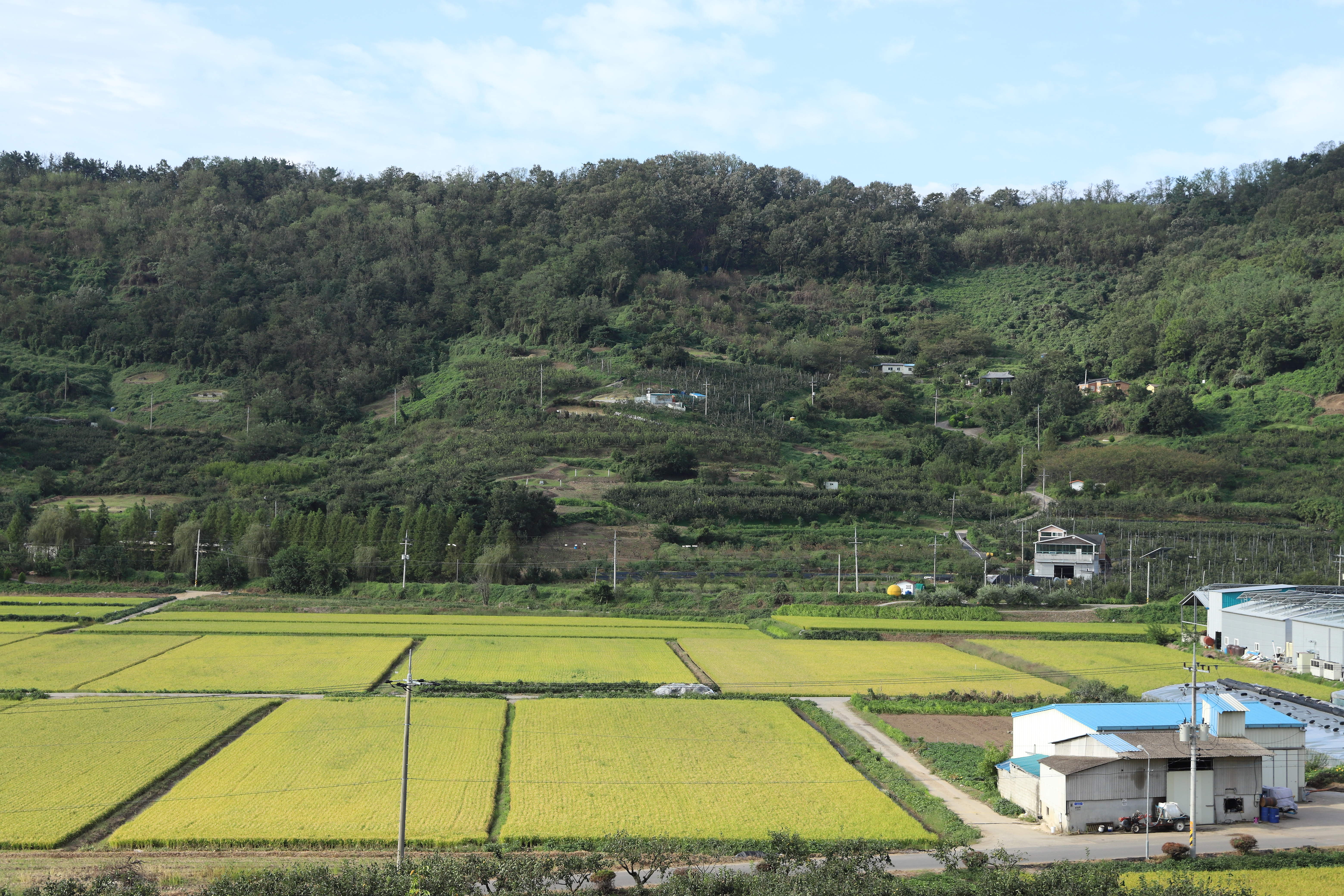 Fresh Rice Milling for Organic Baby Snack Production