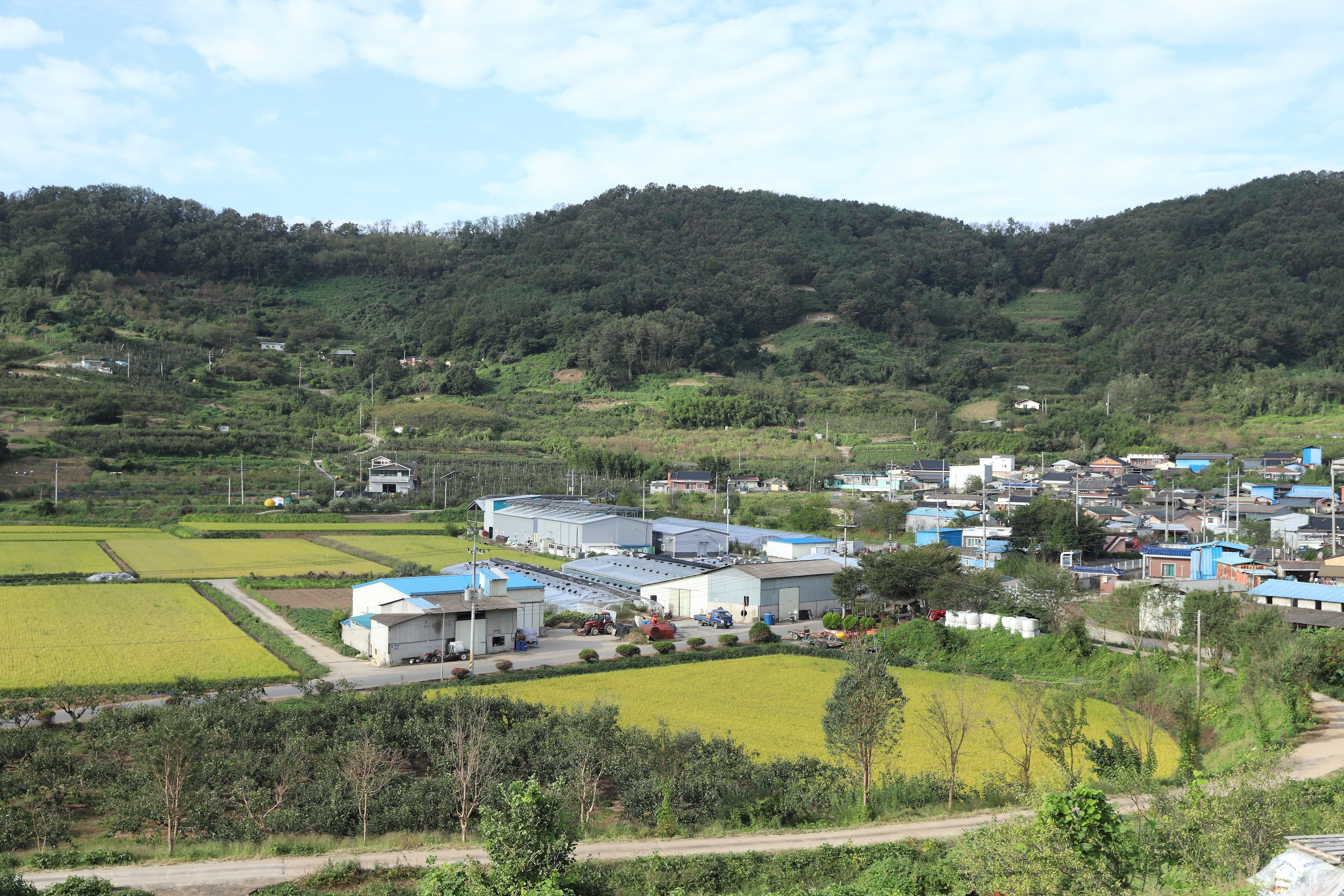 Korean Farm Partners Build MOMSMI’s Agricultural Brand Story